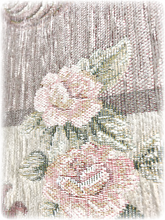 Rosa pikkumatto, vanha roosa La Petite Provence